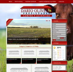 Diseño de Paginas Web para Inmobiliaria de campo Dario Olivetti Propiedades de Chajari, Entre Ríos, Argentina.